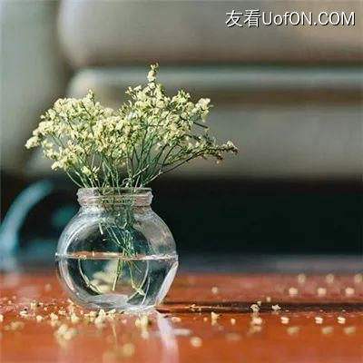 灭仙神帝游戏下载